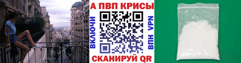 где найти Тарко-Сале ОМГ ОМГ зеркало Alfa_PVP СК
