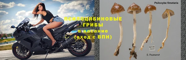 трава Абаза